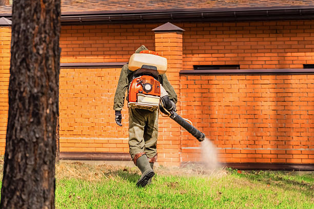 Bed Bug Clearance Verification and Documentation in Kansas City
